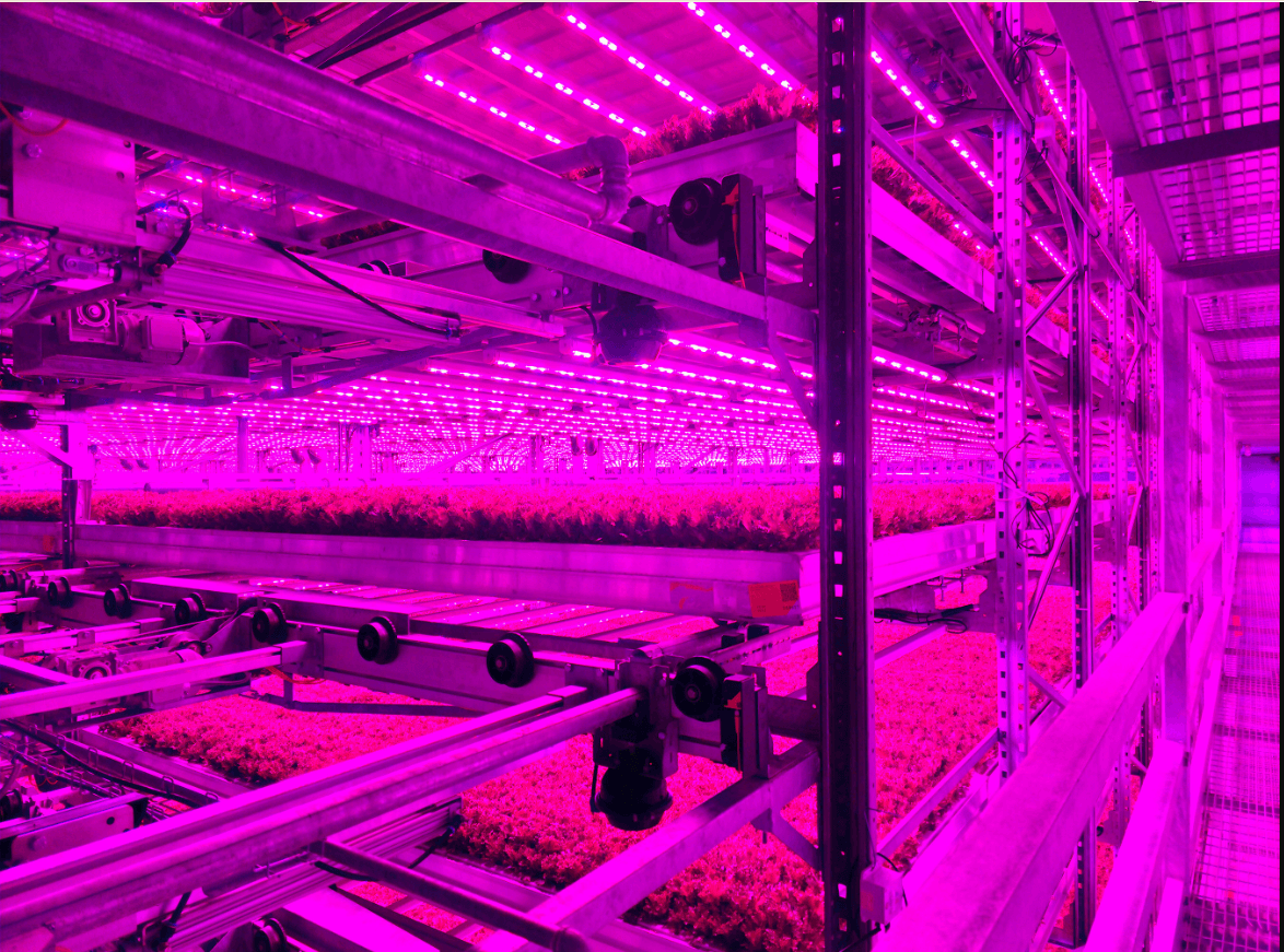 Infinite Acres vertical farming system by 80 Acres Farms — stacked growing levels with precision LED lighting and automated robotics