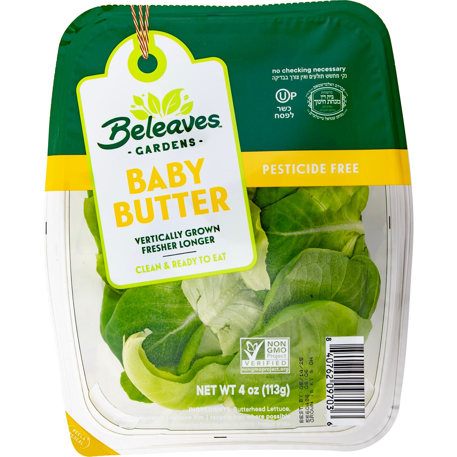 Baby Butter Lettuce with serving ideas and fresh ingredients