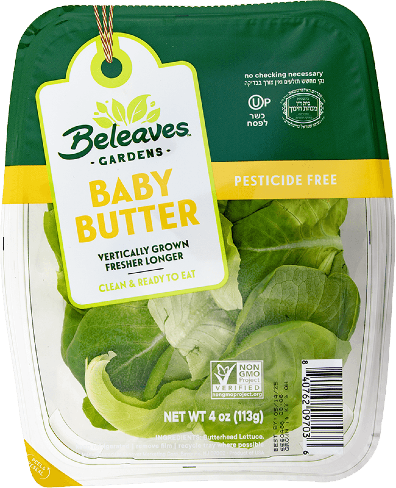 Baby Butter Lettuce