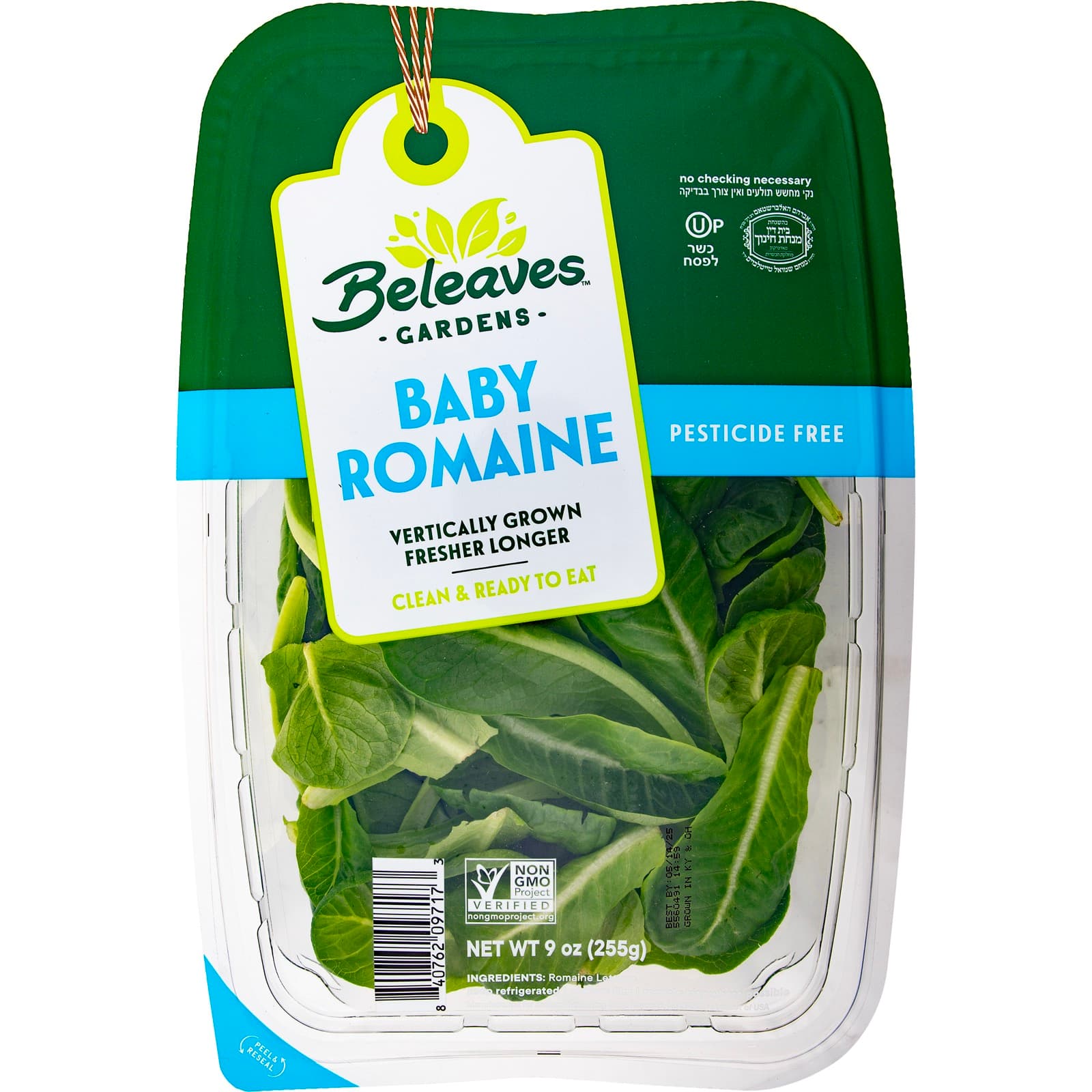 Baby Romaine with serving ideas and fresh ingredients