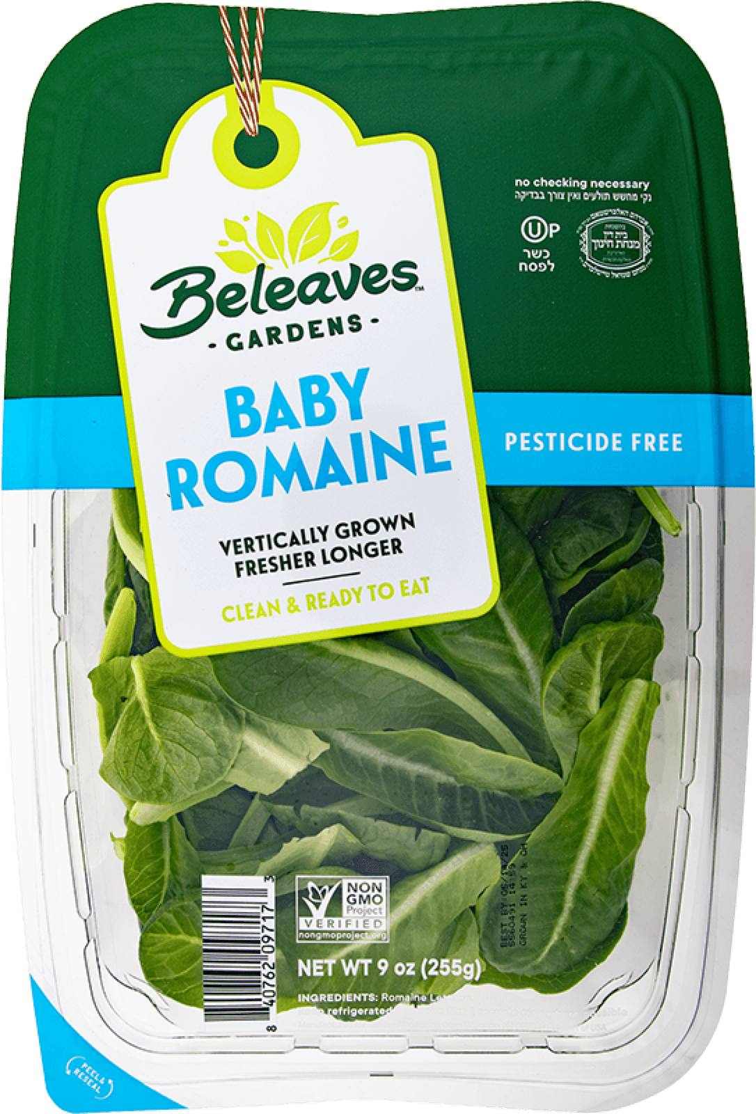 Baby Romaine