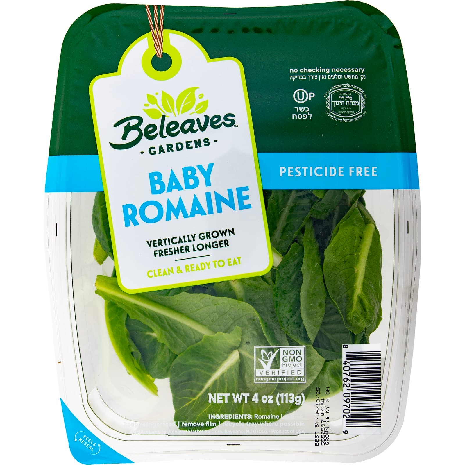 Baby Romaine with serving ideas and fresh ingredients
