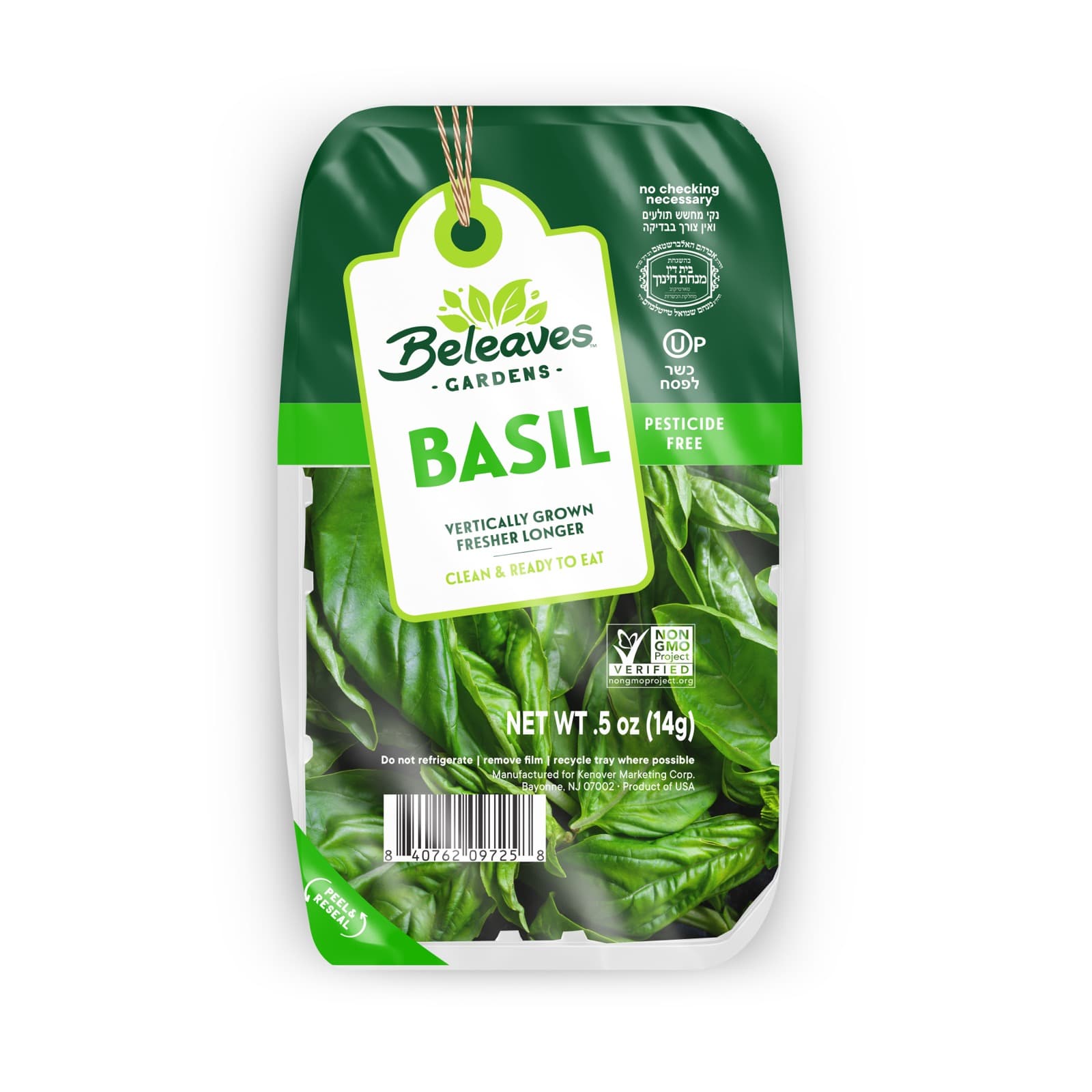 Basil with serving ideas and fresh ingredients