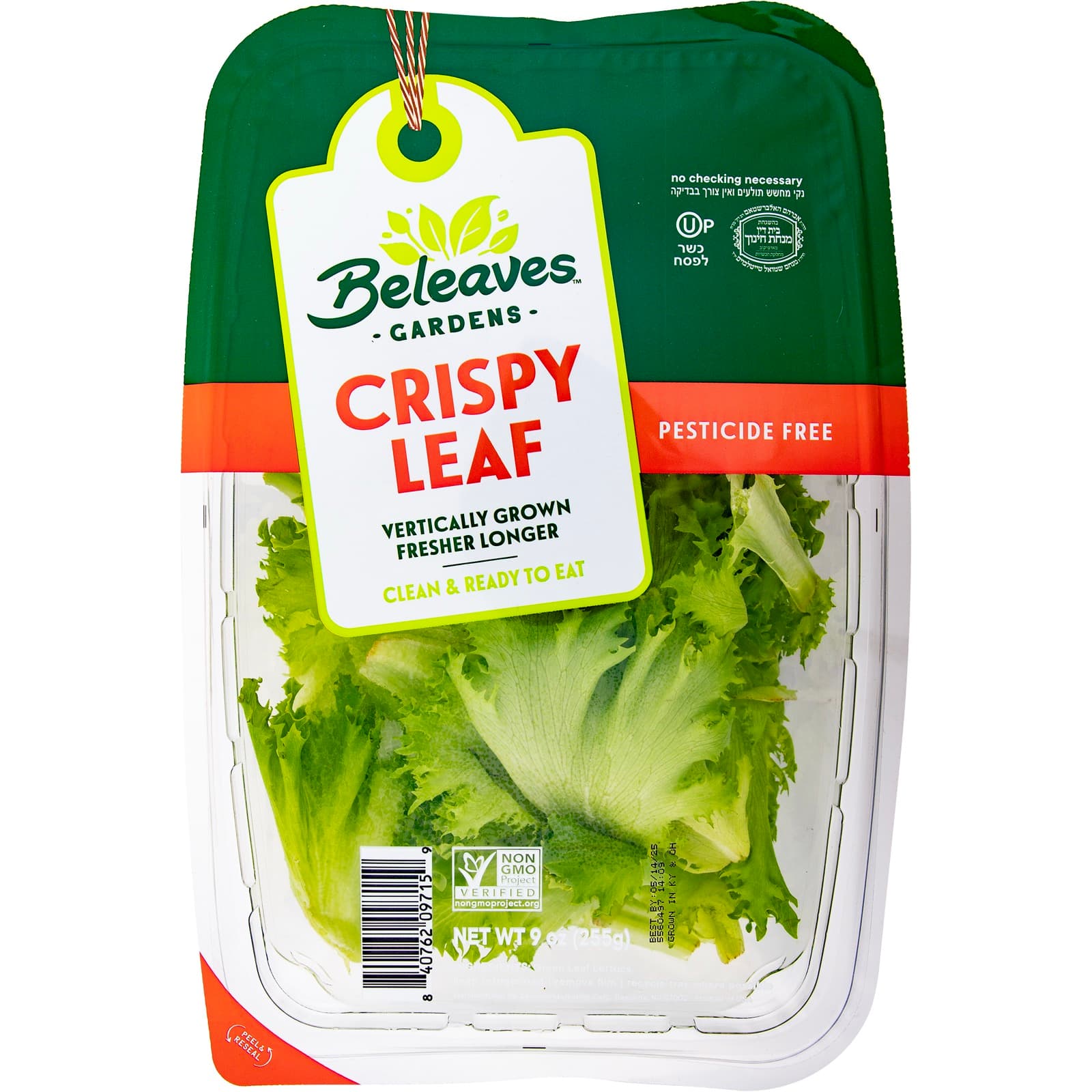 Crispy Leaf with serving ideas and fresh ingredients