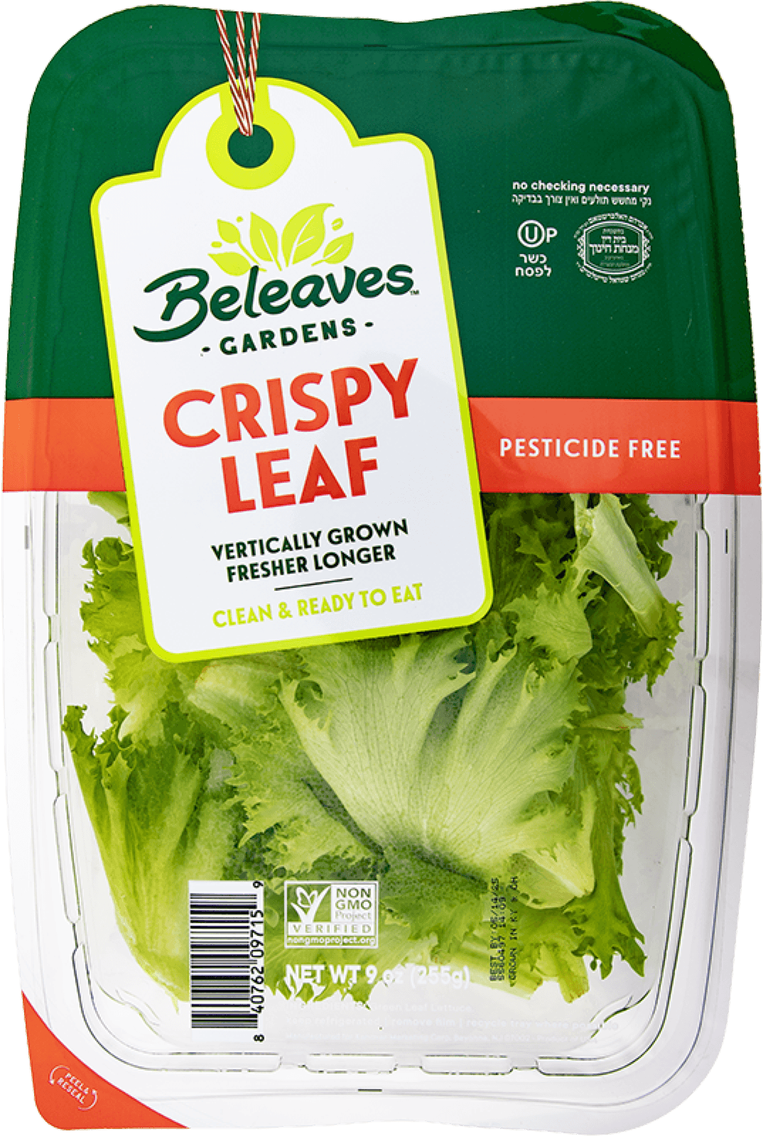 Crispy Leaf
