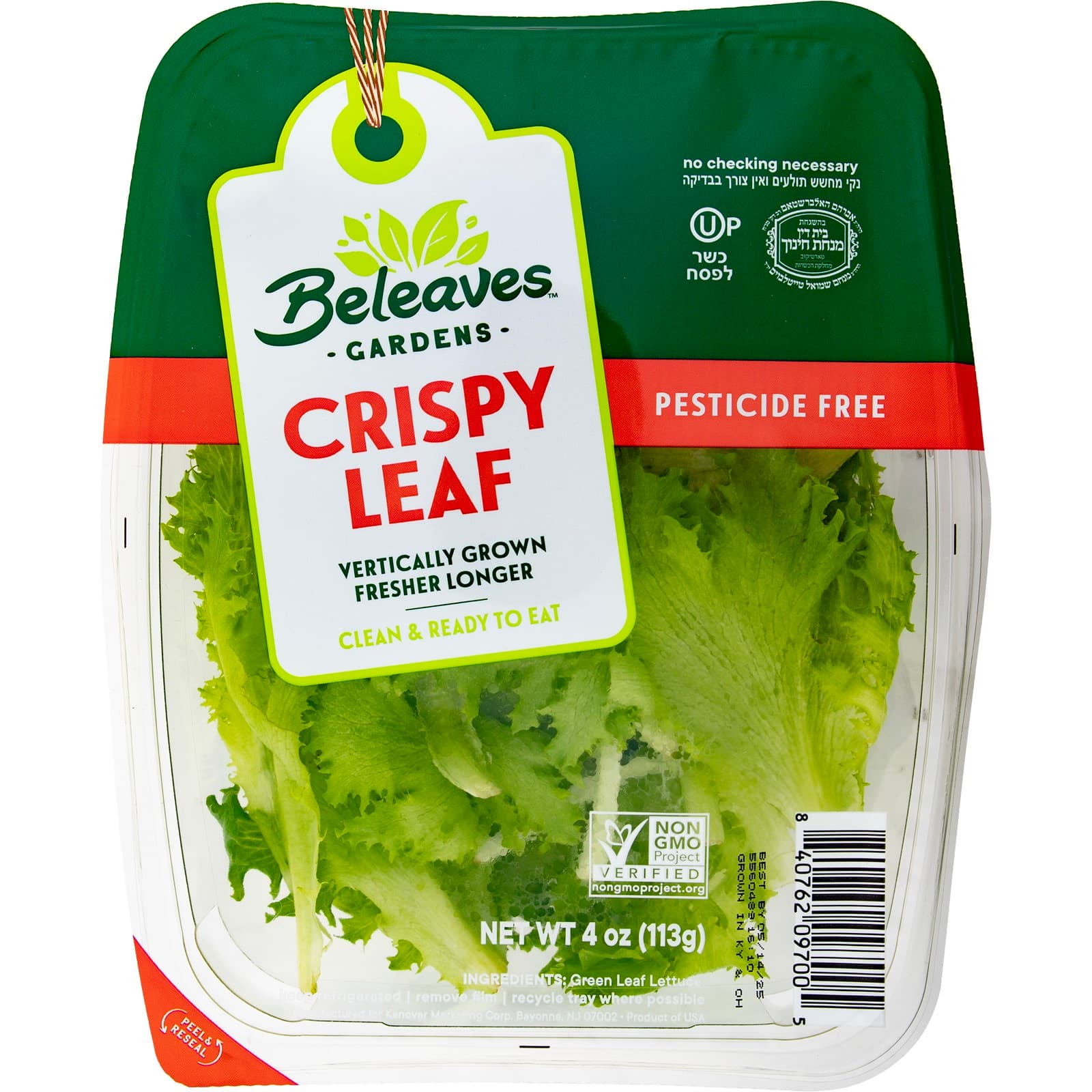 Crispy Leaf with serving ideas and fresh ingredients
