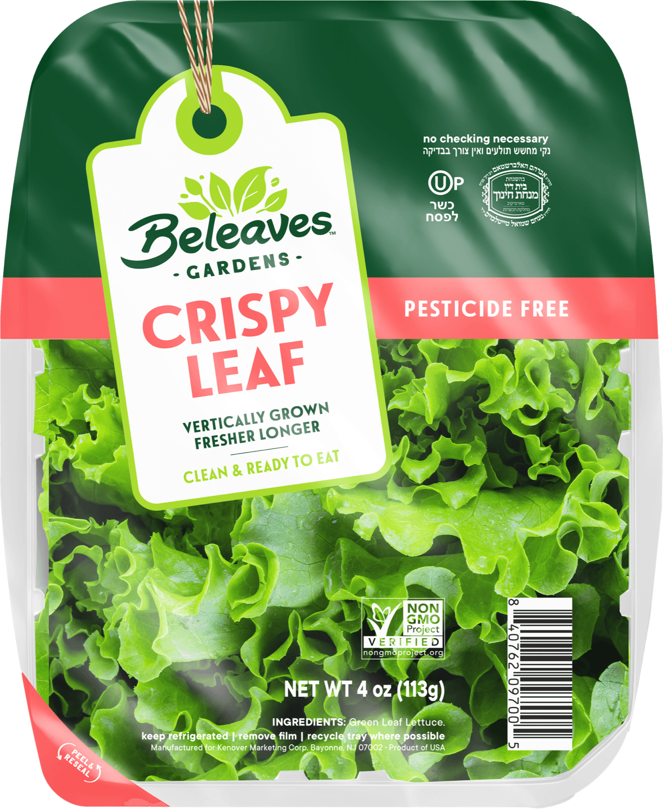 Crispy Leaf