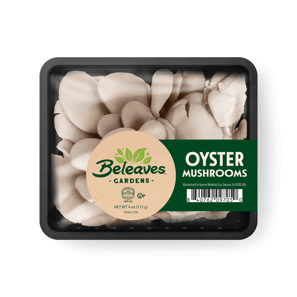 Oyster Mushrooms